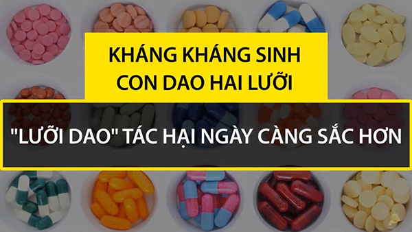 Bảo vệ đại tràng khỏi nỗi ám ảnh mang tên “Tất niên, tổng kết” - 2