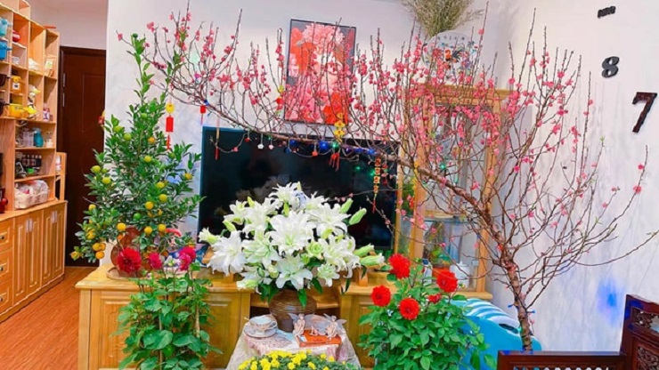 Năm mới Quý Mão, gia chủ cần lưu ý gì với phong thủy nhà ở? - 1