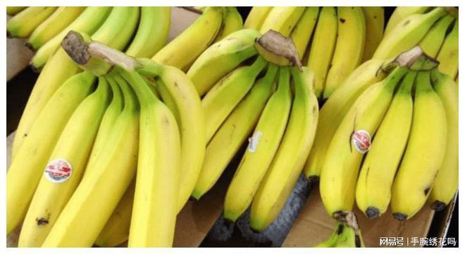 Chuối cong và chuối thẳng có sự khác biệt rất lớn, lưu ý 3 điểm để chọn loại ngon ngọt - 1