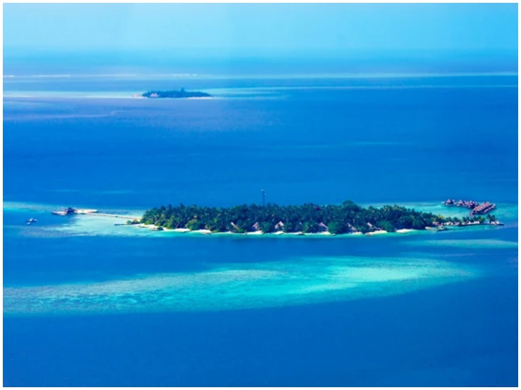 6 thứ mà Thái tử Ả Rập không tiếc tiền mua về khiến giới tỷ phú nể sợ - 4