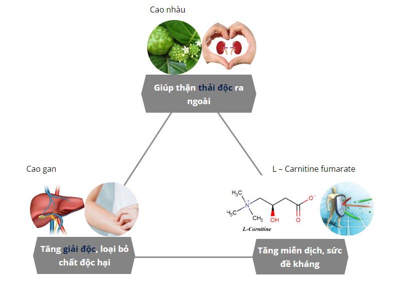 Bị dị ứng nên làm gì để sớm lấy lại cảm giác thoải mái? - 2