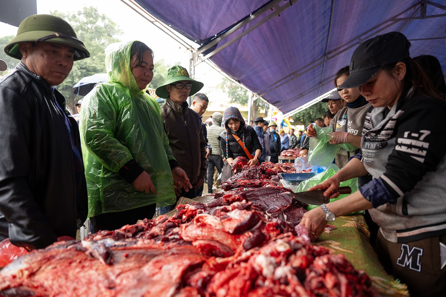 “Nhà vô địch” tại lễ hội ở Vĩnh Phúc được xẻ thịt bán với giá khủng - 2