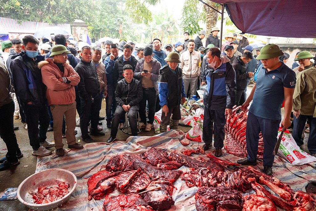 “Nhà vô địch” tại lễ hội ở Vĩnh Phúc được xẻ thịt bán với giá khủng - 3