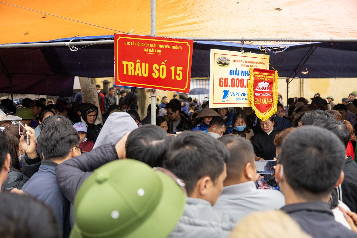 “Nhà vô địch” tại lễ hội ở Vĩnh Phúc được xẻ thịt bán với giá khủng - 4