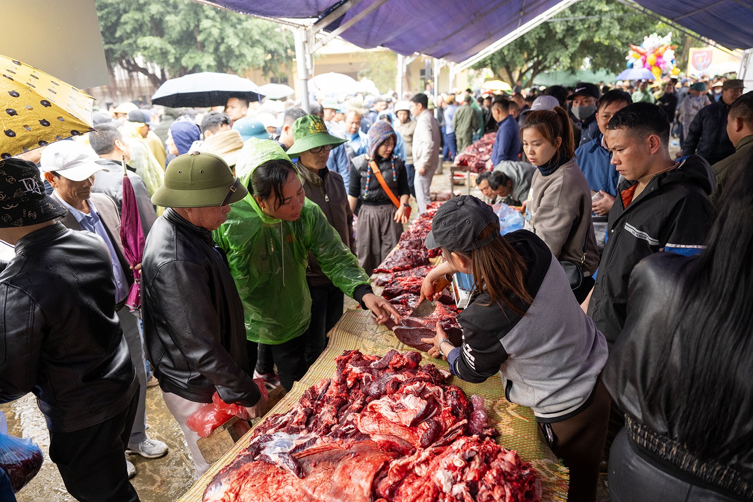 “Nhà vô địch” tại lễ hội ở Vĩnh Phúc được xẻ thịt bán với giá khủng - 7