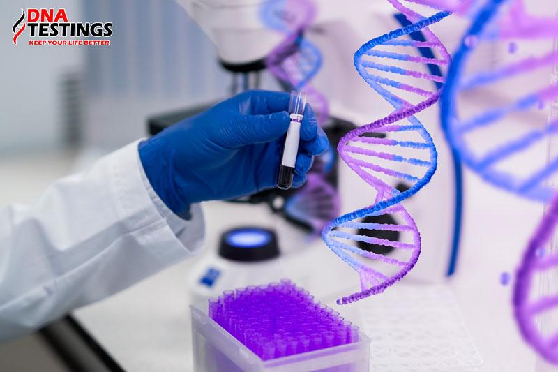 DNA TESTINGS - Trung tâm xét nghiệm ADN uy tín ở Việt Nam - 1