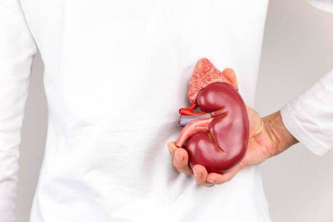 Người đàn ông đau bụng dữ dội, đi khám bất ngờ phát hiện thận phải bị ung thư "ăn" mất - 1