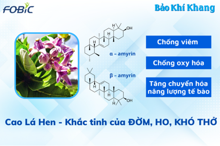 Phát hiện loại thảo dược trồng ở Việt Nam khống chế thành công đờm, ho, khó thở - 2