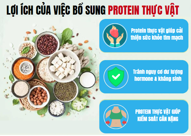 ProteNut – Giải pháp dinh dưỡng toàn diện cho cả gia đình từ Hoa Kỳ - 3