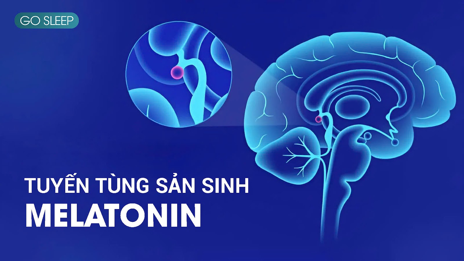 Viên uống hỗ trợ cải thiện mất ngủ Go Sleep - Giải pháp hoàn hảo cho giấc ngủ trọn vẹn - 3