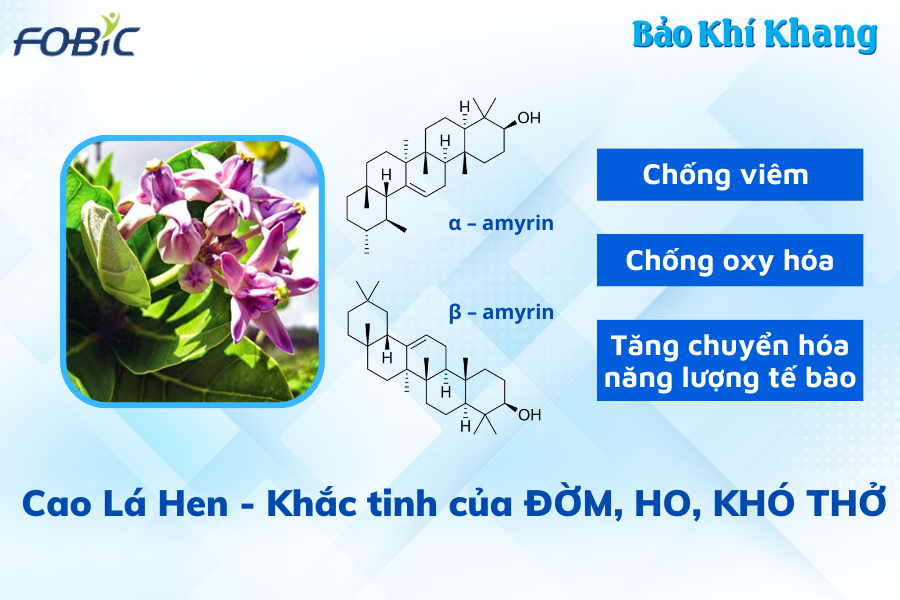 3 thói quen tưởng vô hại nhưng “hút cạn” hơi thở, khiến ho đàm đeo bám không buông! - 2