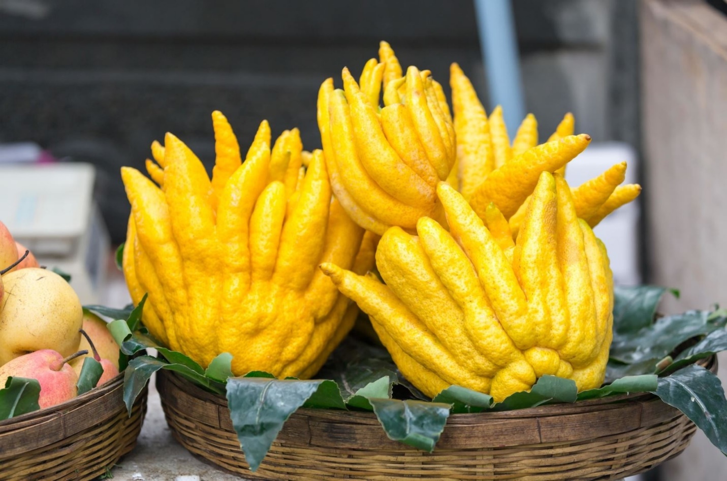 Loại quả “cát tường” vừa hút lộc vừa giúp giảm ho đàm, khai thông hơi thở ngày Tết - 1