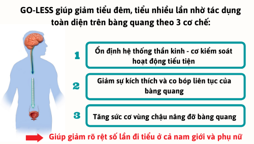 Cứ hơn 1 tiếng là buồn tiểu, đêm tiểu 4-5 lần – Chuyên gia cảnh báo “Bệnh nguy hiểm”! - 4