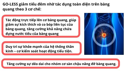 4 món nhất định phải thử nếu muốn giảm tiểu đêm, tiểu nhiều lần  - 6