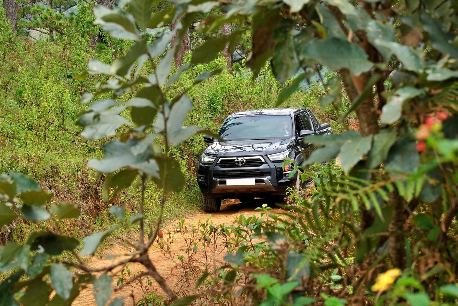 Toyota Hilux thống trị doanh số thị trường Đông Nam Á 2024 - 3