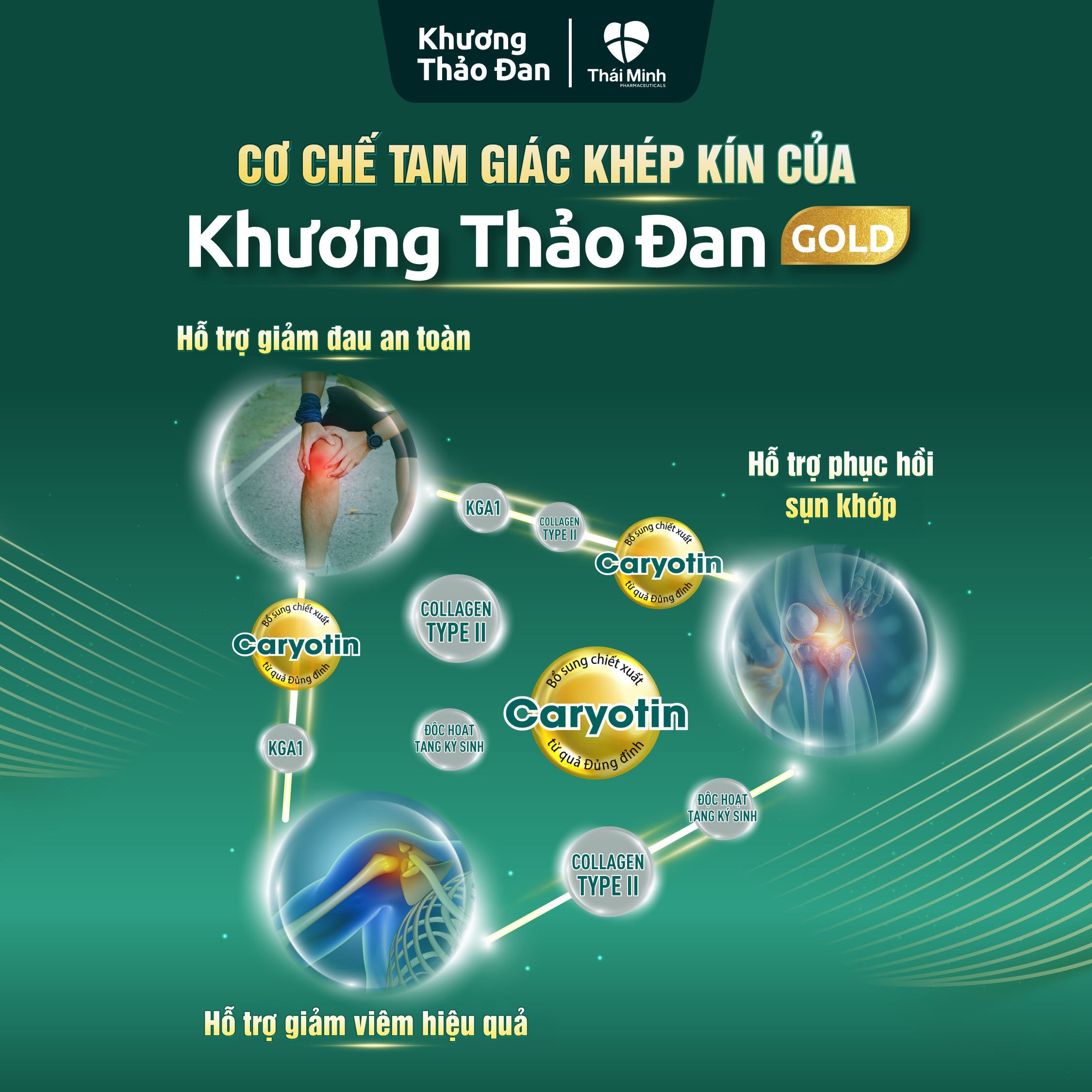 Khương Thảo Đan Gold - Sản phẩm xương khớp hiệu quả số 1 Việt Nam - 3