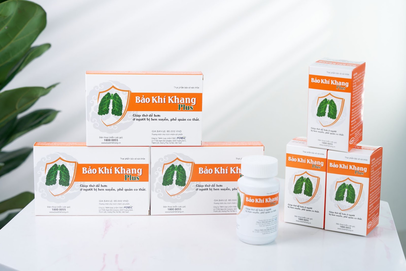 Bảo Khí Khang Plus – Hy vọng mới giúp thở dễ hơn cho người bệnh hen suyễn, viêm phế quản co thắt - 6