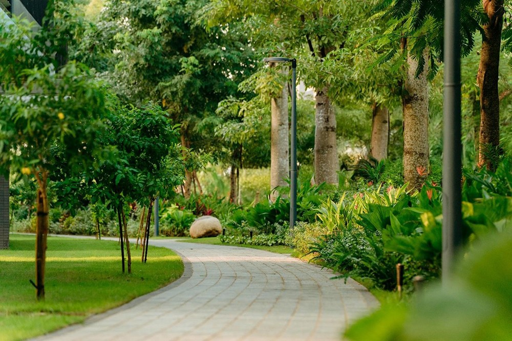 Sống Live – Work- Play với tiện ích đa thế hệ tại đại công viên xanh của nhà sáng lập Ecopark - 7