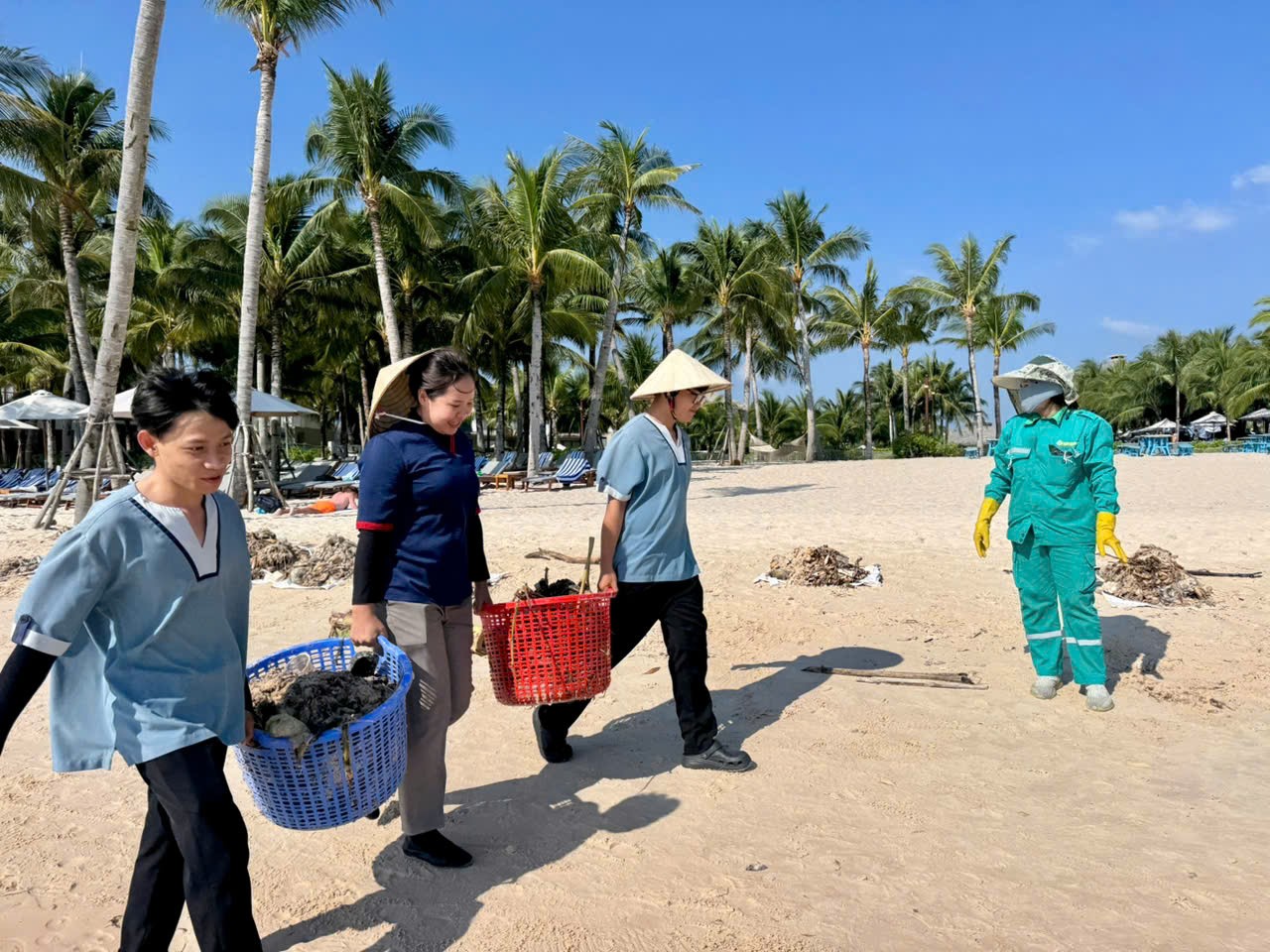 Hàng trăm người làm sạch bãi biển Phú Quốc mỗi ngày trong mùa gió chướng - 1