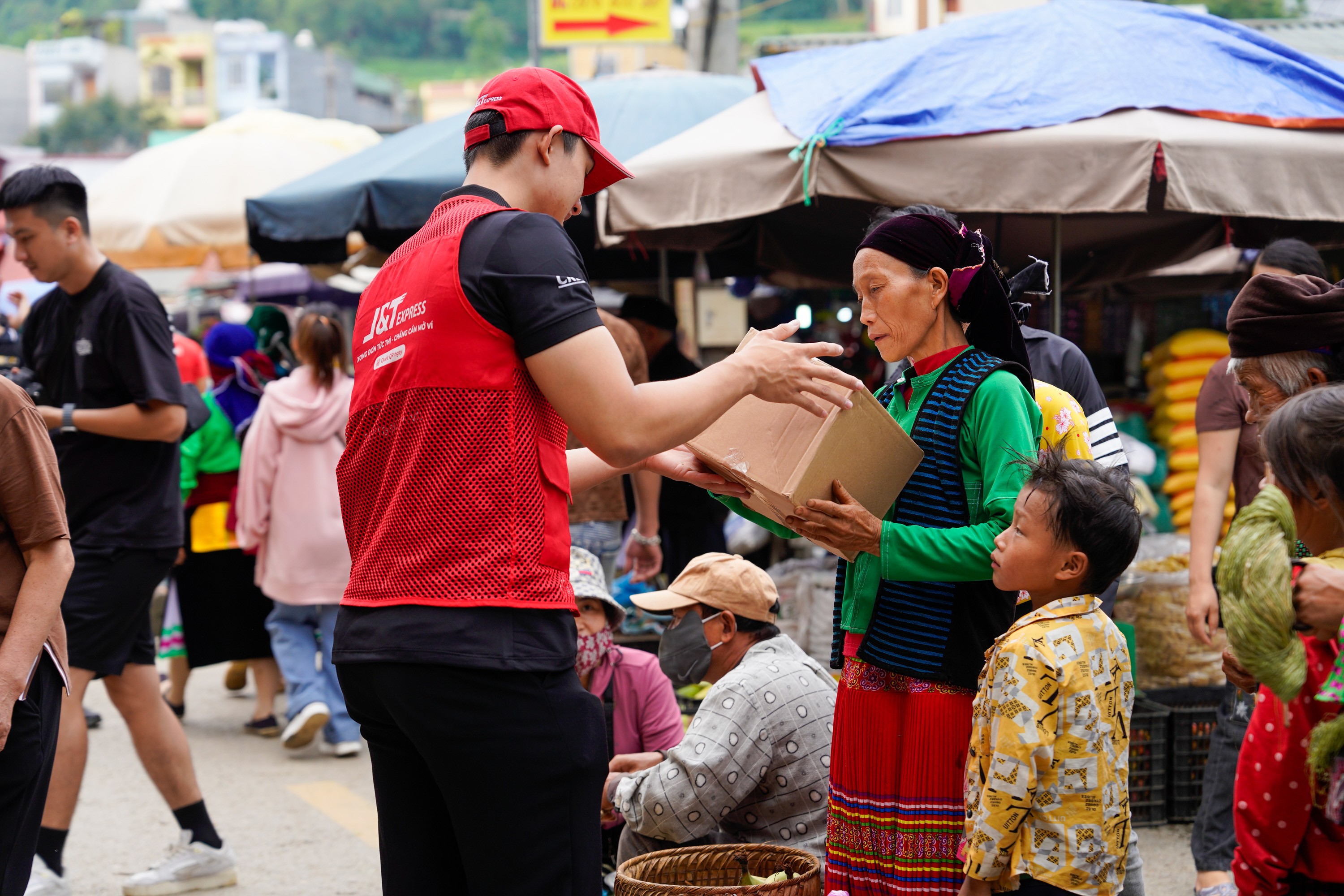 Hành trình thầm lặng phía sau mỗi tổ yến - 3