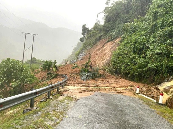 Tết An Bình 2026 quay trở lại, tiếp nối hành trình Xanh An Bình – Xanh Việt Nam tại Nghệ An - 2