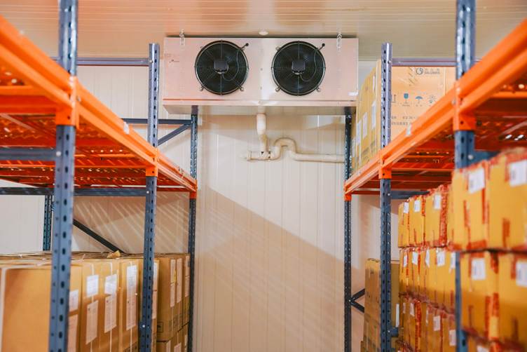 Chuỗi cung ứng lạnh dược phẩm trong bối cảnh hiện nay – Áp lực chi phí và chiến lược tối ưu cho doanh nghiệp dược - 3