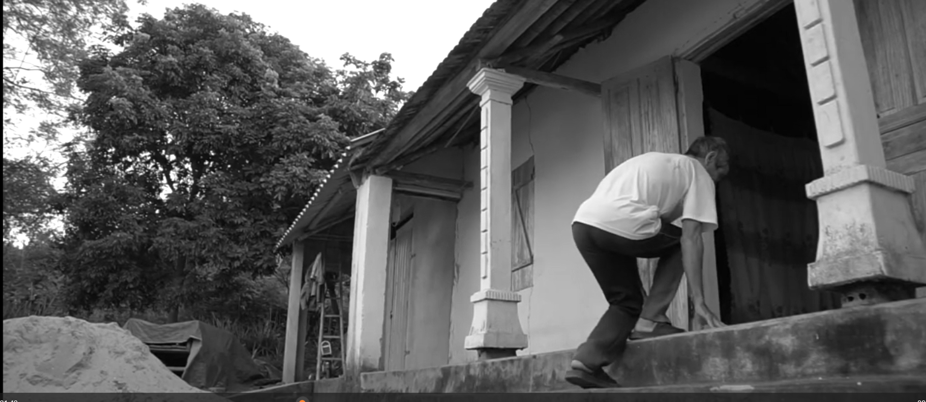 5 loại rau củ dễ mua ngoài chợ cực kỳ tốt cho xương khớp - 3