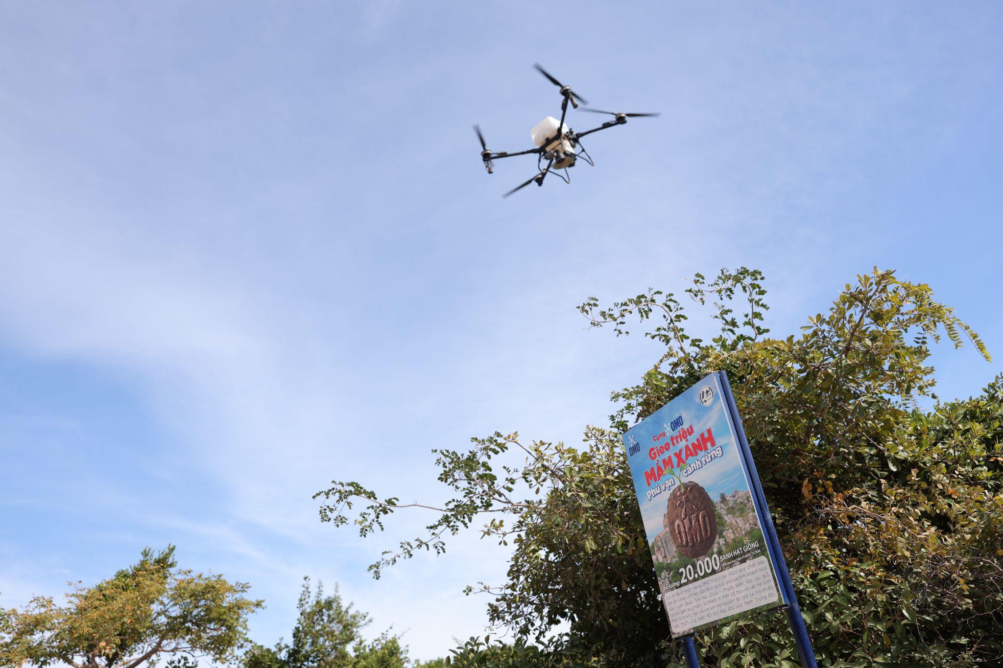 OMO viết chương tiếp của hành trình 1 triệu cây: Bắt đầu từ Núi Chúa đến khắp Việt Nam - 2