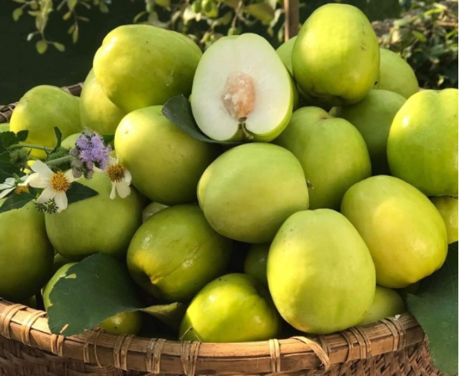 3 loại quả mùa lạnh ở miền Bắc tốt như “nhân sâm” cho người bị đau xương khớp - 2