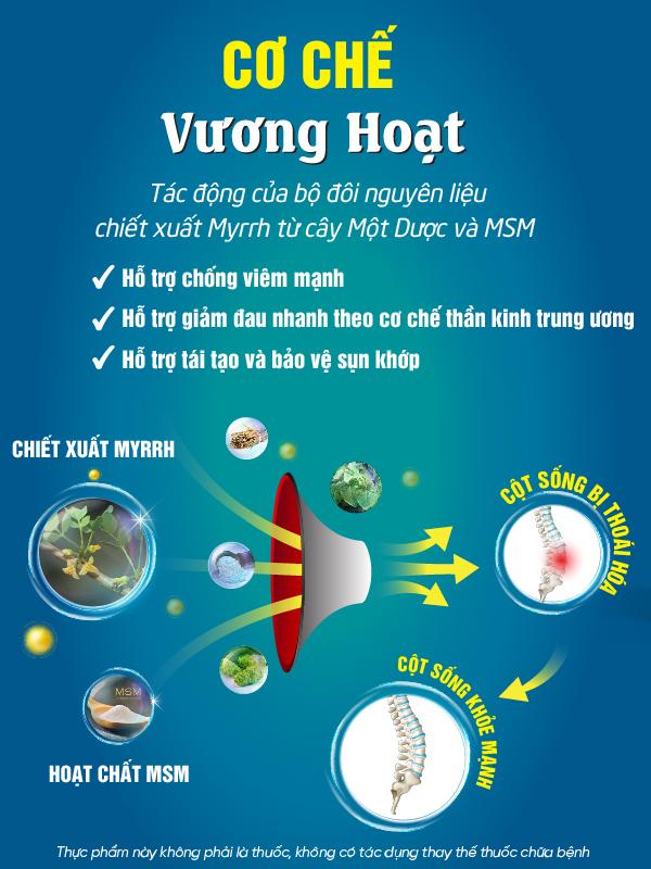 Vương Hoạt tự hào vinh danh “thương hiệu sản phẩm xương khớp hiệu quả, được tin dùng số 1 Việt Nam” - 3