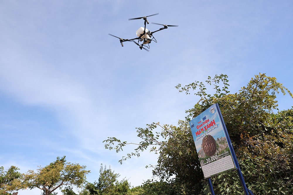 Cùng OMO mang “lộc xanh” đến Vườn quốc gia Núi Chúa - Phước Bình - 4