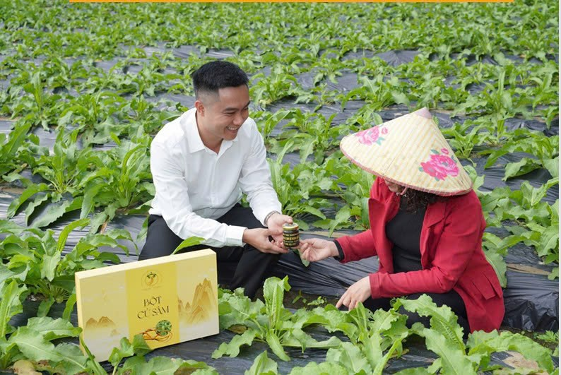 Hướng phát triển bền vững của hệ sinh thái Sâm Nữ Hoàng - 2