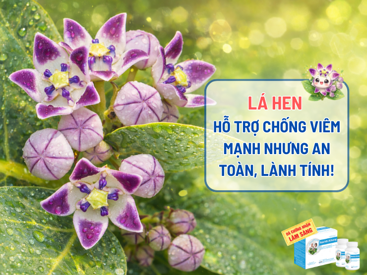 Hàng triệu người ăn gia vị này mỗi ngày mà không biết phổi đang bị “hủy hoại”! - 4