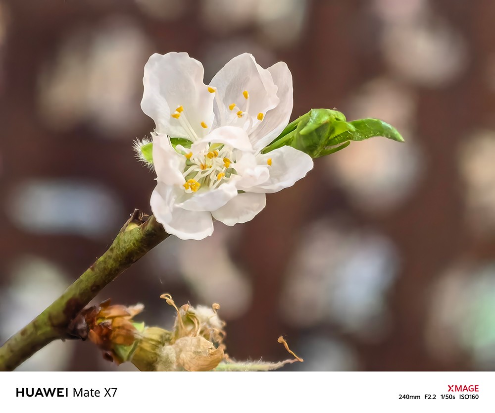 Tết hai miền qua những khoảnh khắc quen thuộc - 2