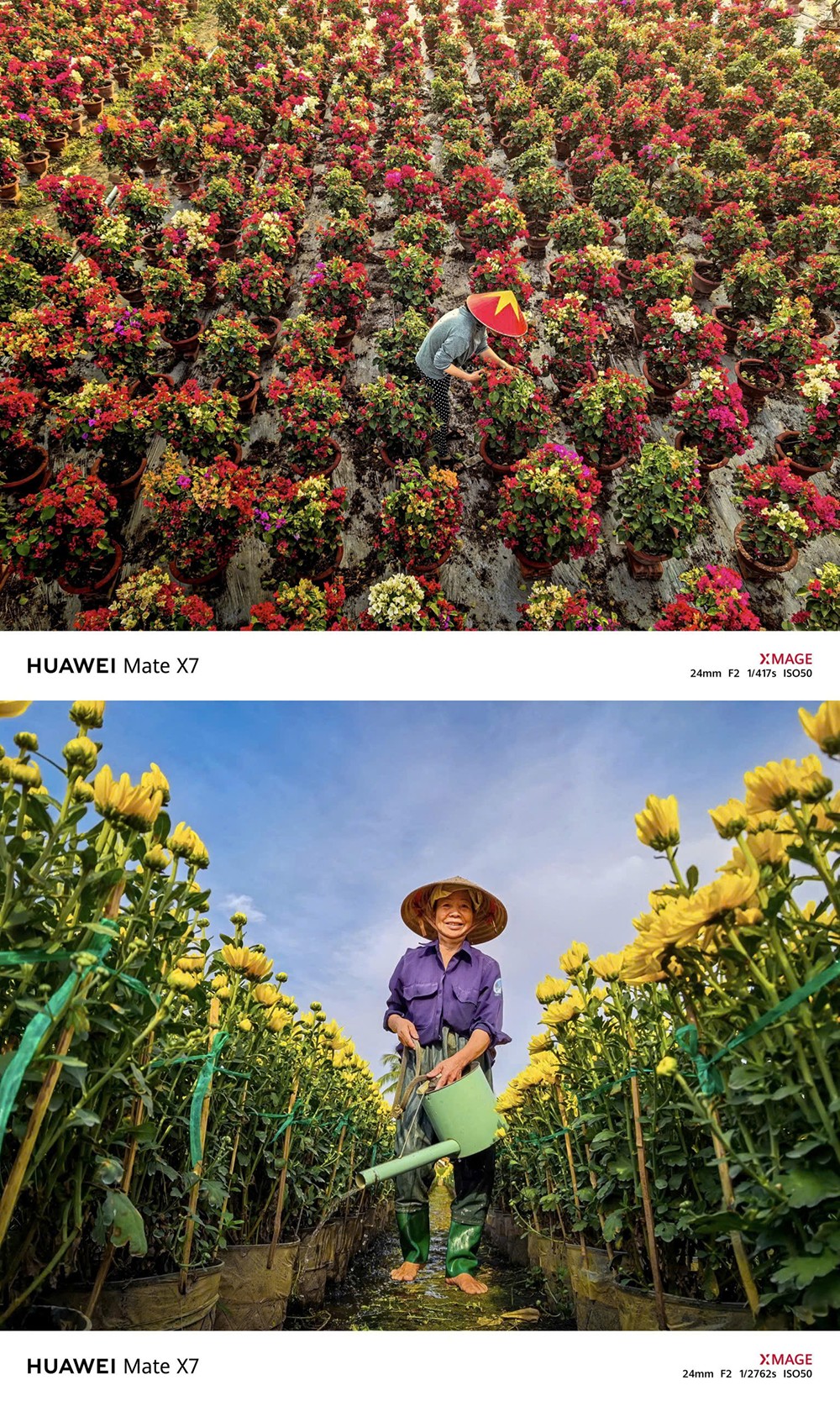 Tết hai miền qua những khoảnh khắc quen thuộc - 3