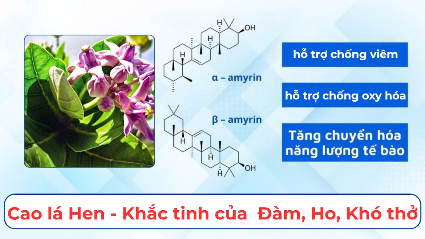 3 món khoái khẩu ngày tết âm thầm tước đi hơi thở của bạn khiến phổi rất dễ bị "bào mòn" - 5