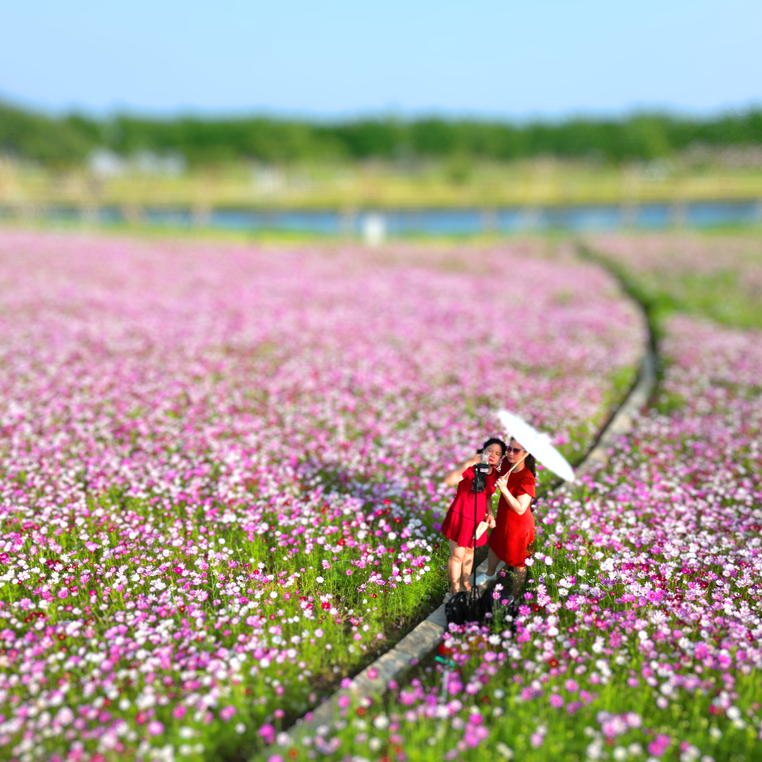 Happy Home Cà Mau – Chạm xuân, khởi triệu may mắn - 4