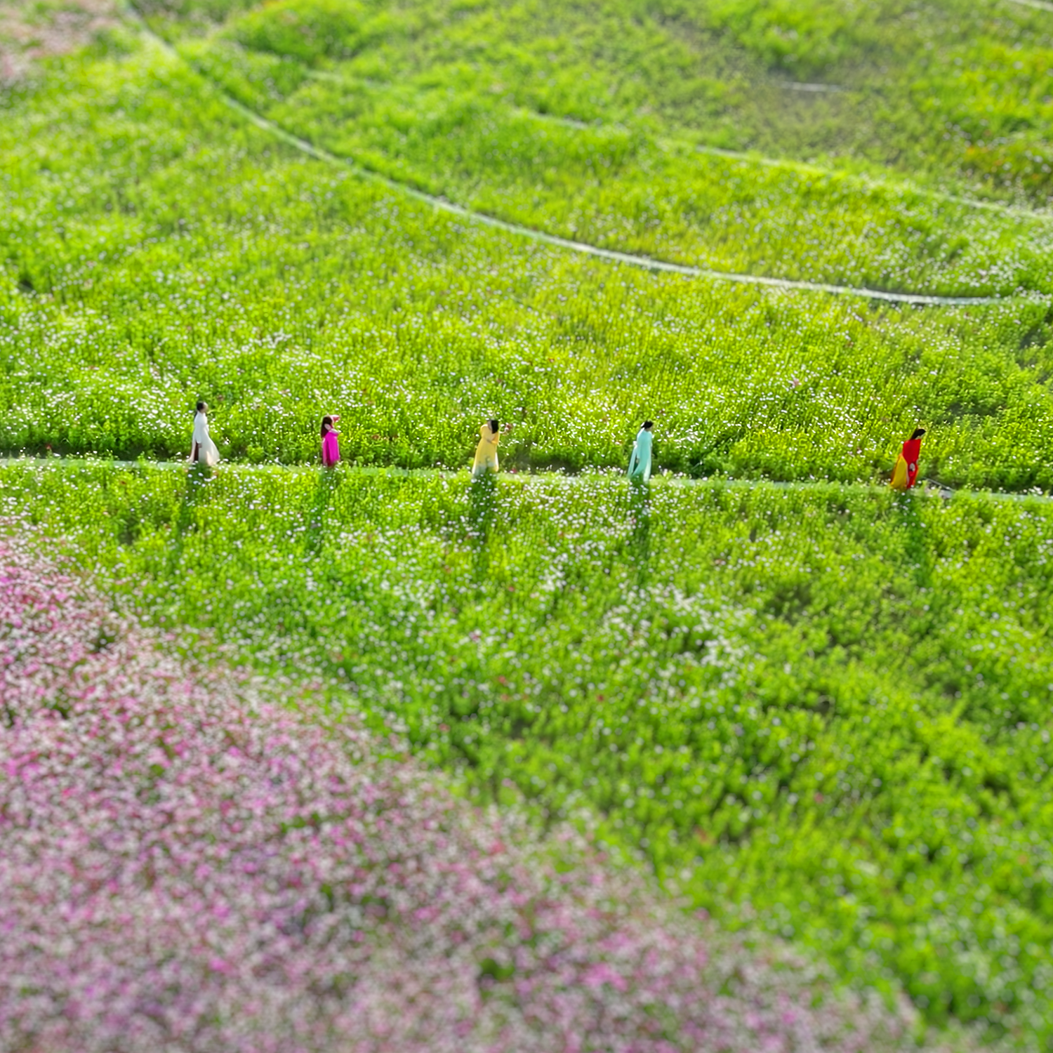 Happy Home Cà Mau – Chạm xuân, khởi triệu may mắn - 2