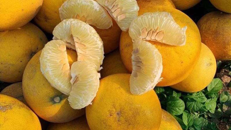 3 loại quả ngày Tết tốt cho xương khớp, nhưng không phải ai cũng biết - 3