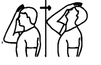 6 bài tập đơn giản giúp cột sống “thở” lại sau những ngày Tết - 5