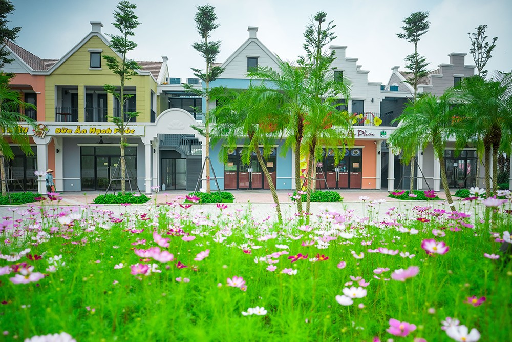 Ecopark tràn ngập sắc hoa tại các đại đô thị khắp 3 miền dịp Tết Bính Ngọ 2026 - 11