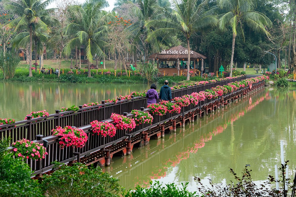 Ecopark tràn ngập sắc hoa tại các đại đô thị khắp 3 miền dịp Tết Bính Ngọ 2026 - 3