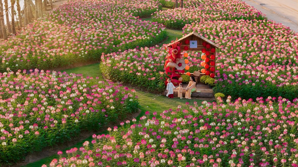 Ecopark tràn ngập sắc hoa tại các đại đô thị khắp 3 miền dịp Tết Bính Ngọ 2026 - 4