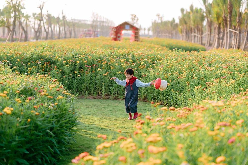 Ecopark tràn ngập sắc hoa tại các đại đô thị khắp 3 miền dịp Tết Bính Ngọ 2026 - 5