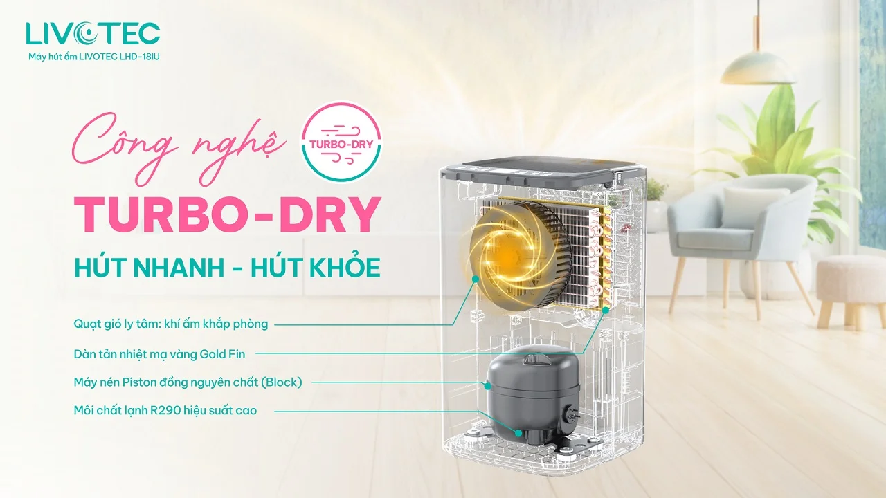 Miền Bắc đi tìm “cứu tinh” giải cứu mùa nồm - 1