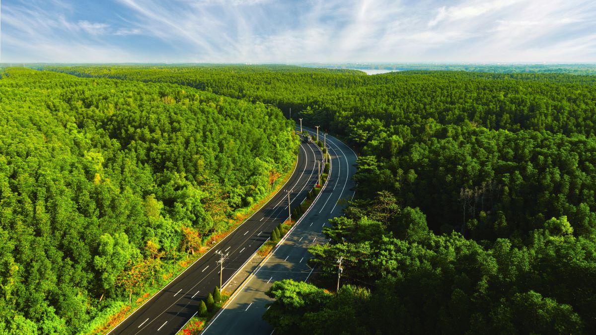 VnExpress Marathon Green Paradise Cần Giờ - Hành trình vạn bước chạy “đánh thức” biểu tượng du lịch mới của TP.HCM - 1