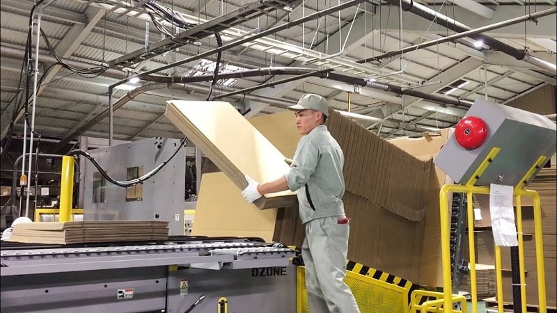 Tiên phong kiến tạo tương lai bao bì carton Việt: năng lực vượt trội, chất lượng đỉnh cao - 1