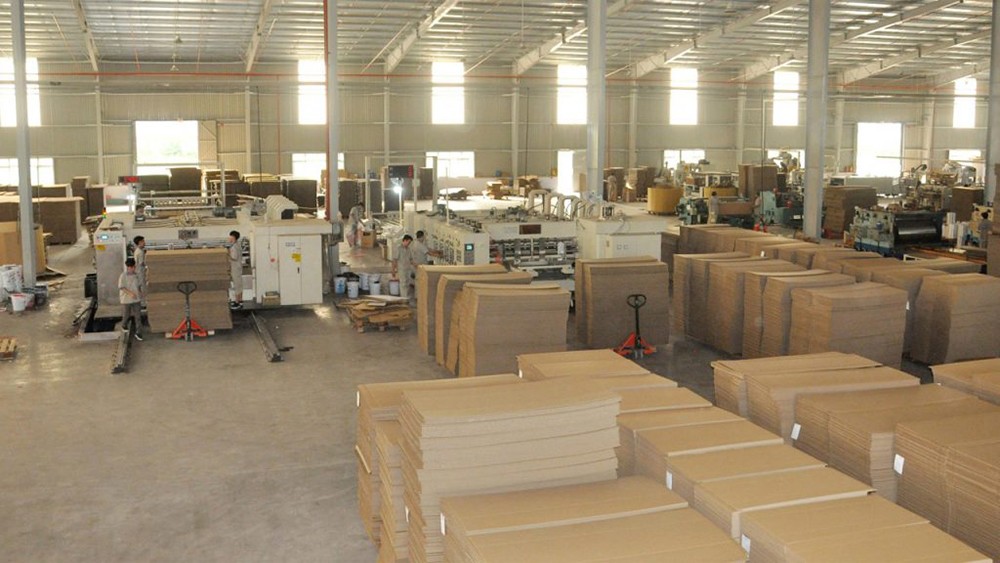 Tiên phong kiến tạo tương lai bao bì carton Việt: năng lực vượt trội, chất lượng đỉnh cao - 3