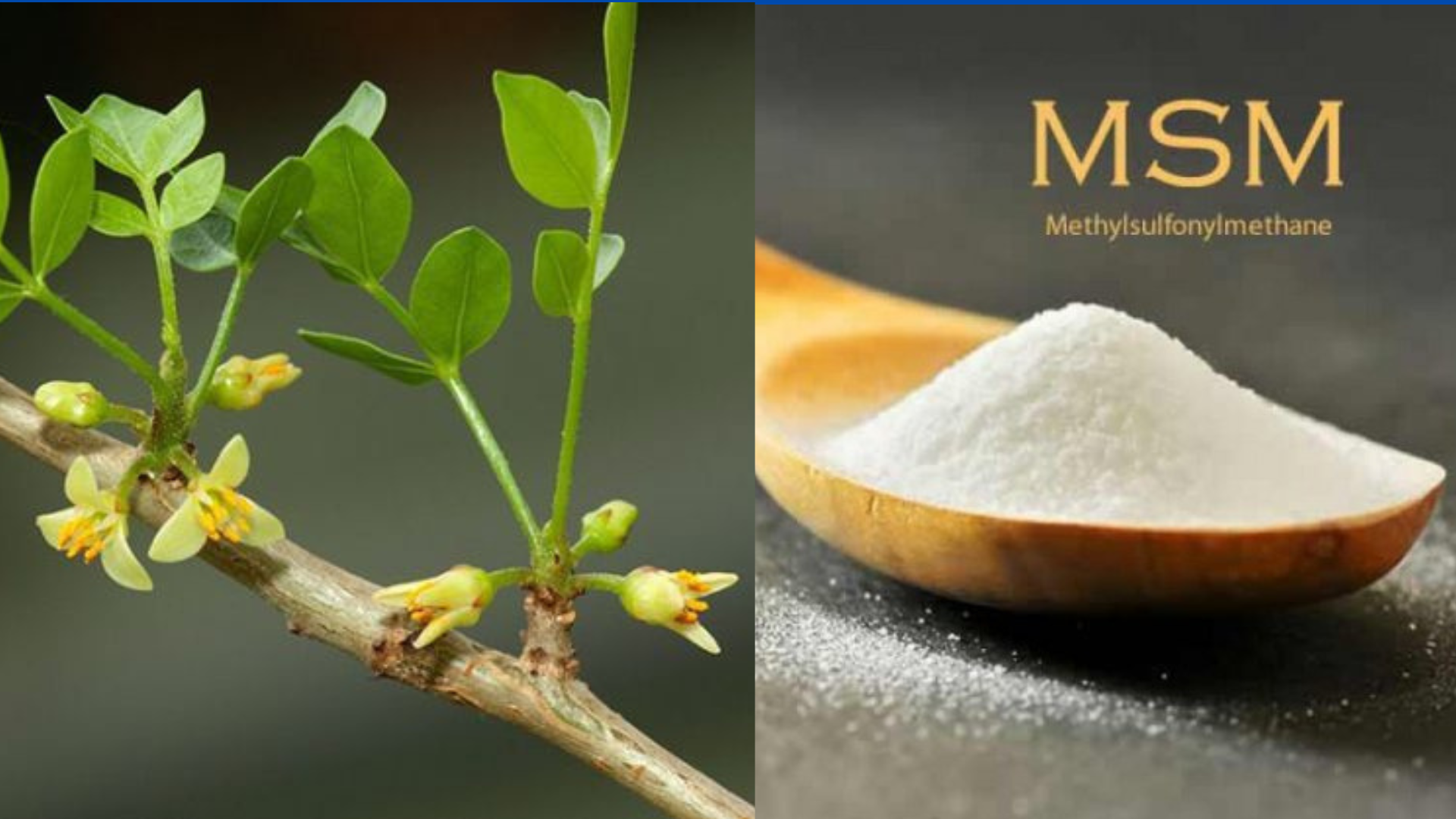 "3 đen 2 đỏ" giúp cột sống dẻo dai - bí kíp “chuẩn không cần chỉnh” được người xưa truyền lại - 6