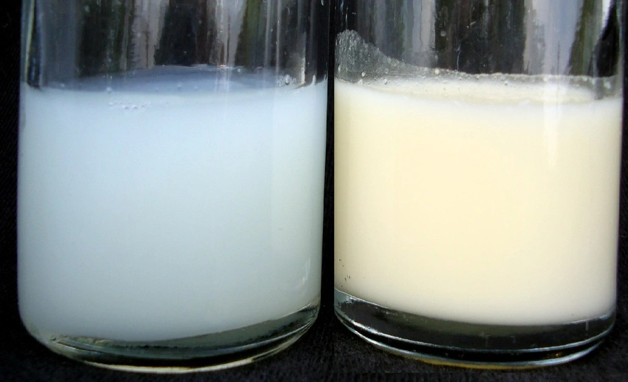 Làm sao để sữa mẹ từ loãng trở nên sánh hơn? - 1